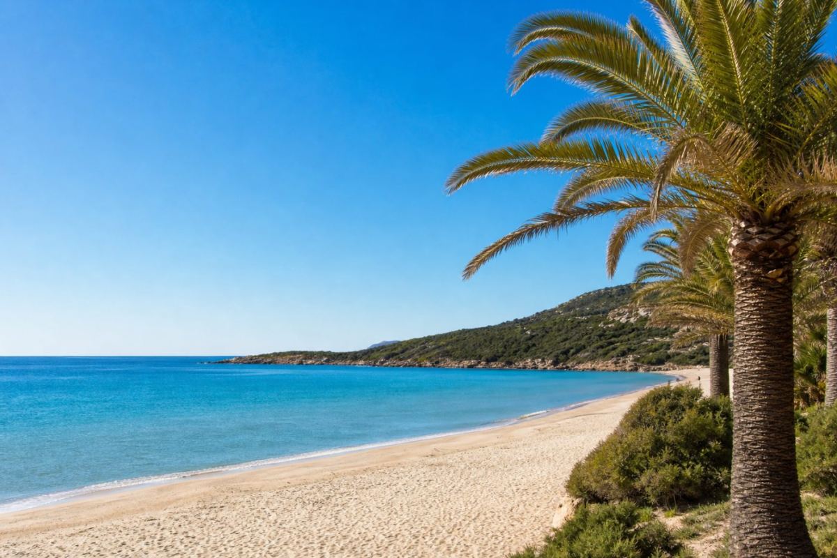 Solig sandstrand med turkosblått Medelhav och palmer längs den turkiska Rivieran vid Antalya