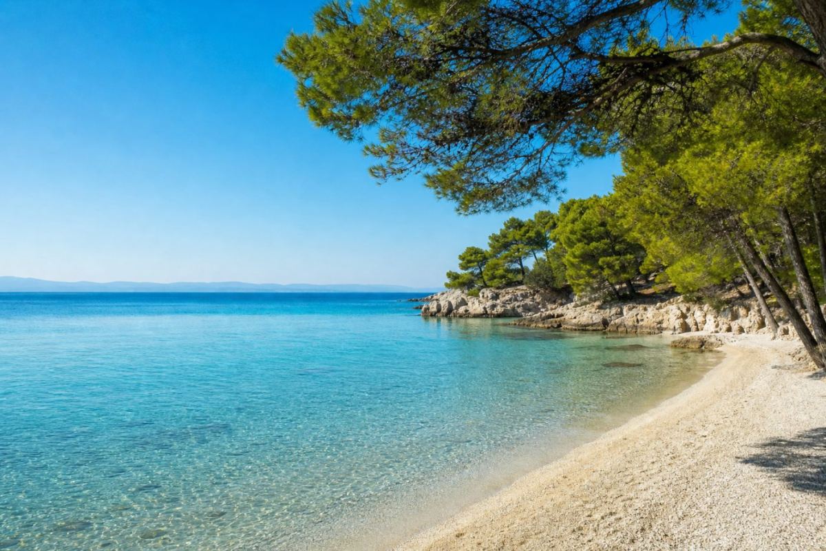 Turkos vik med pinjeskog och långgrund sandstrand på en grekisk halvö i sommarsol