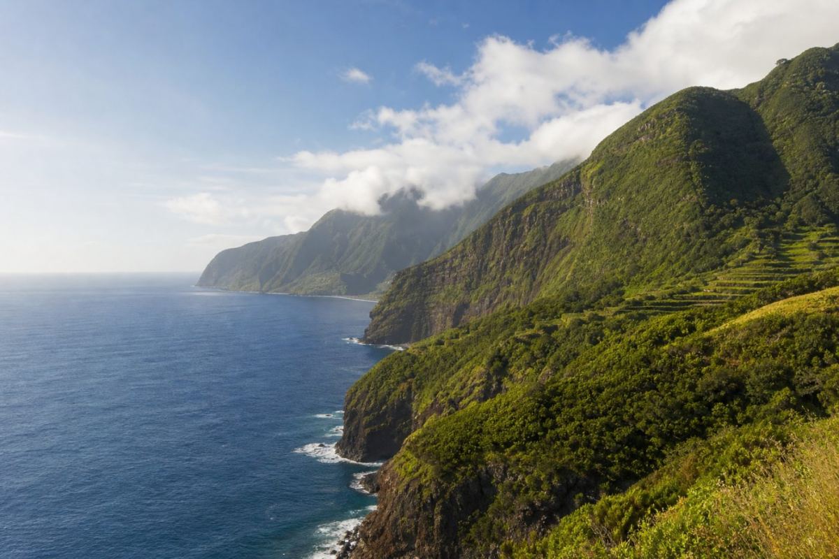 Grön vulkanisk kustlinje på Madeira med branta klippor som möter Atlanten och terrasserad odling i bakgrunden