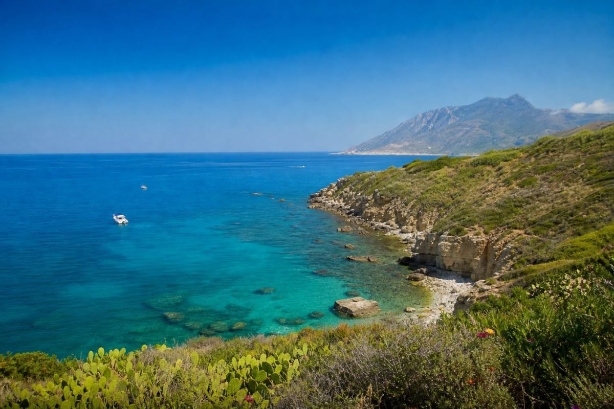 Solig kustvy över Palermo med medelhavsvegetation och blått hav på Sicilien