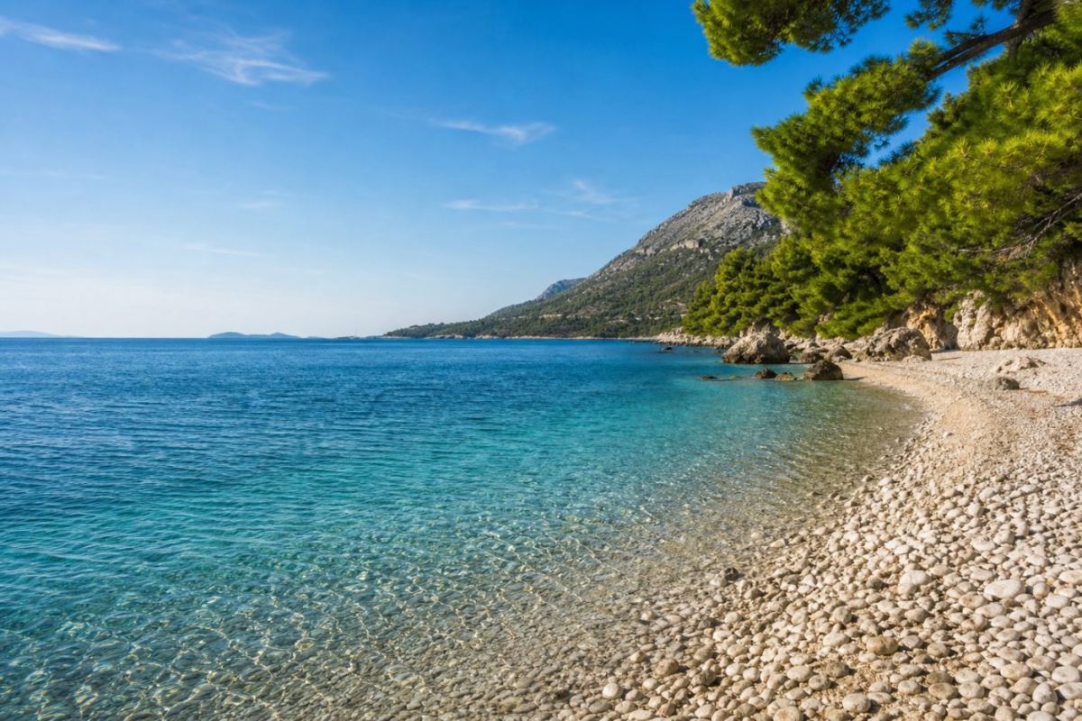 Solig kustlinje vid Splits Riviera med klapperstensstrand, klart turkost hav och pinjeskog framför ett brant kustberg